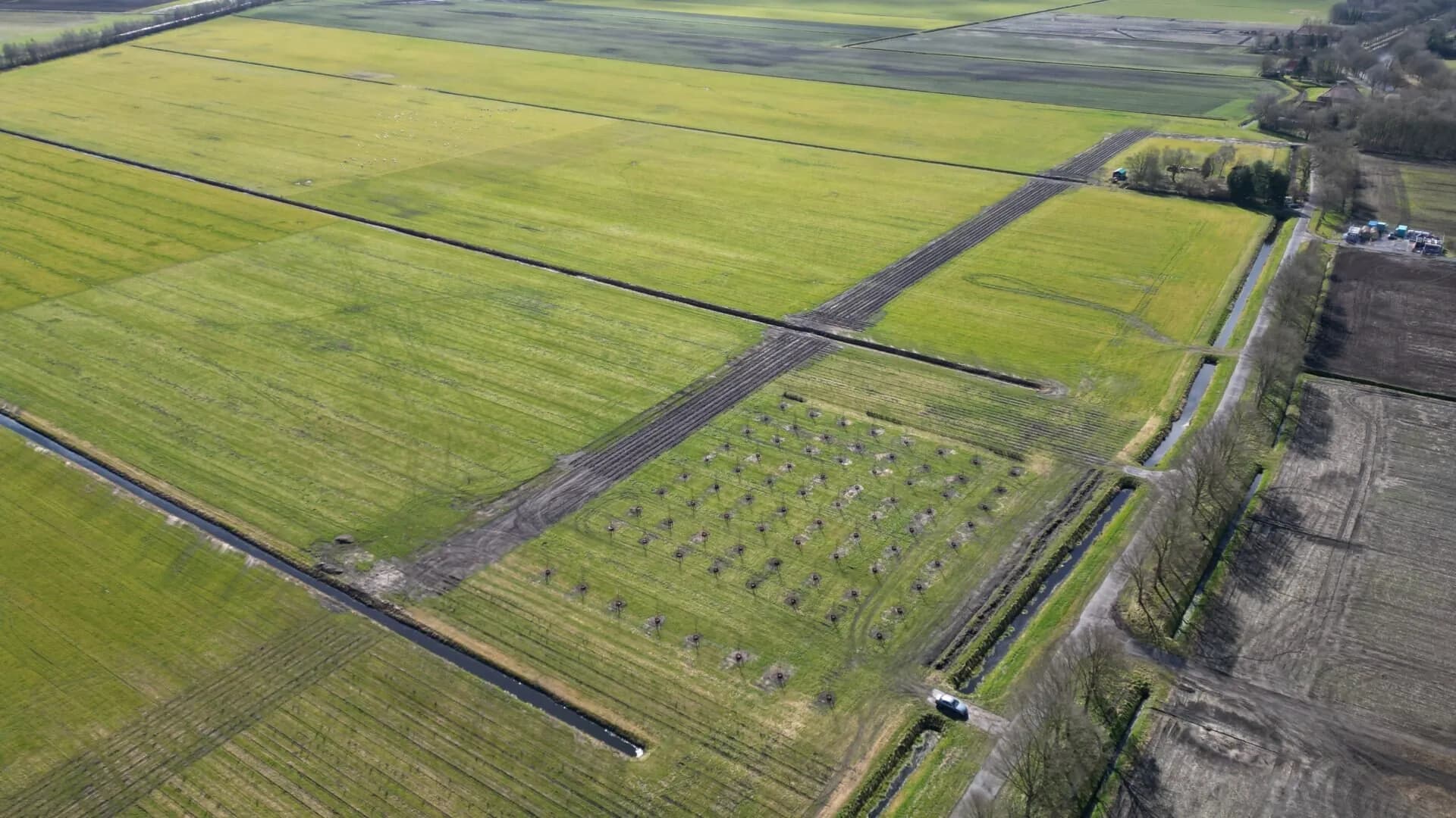 The field exists before the machines.