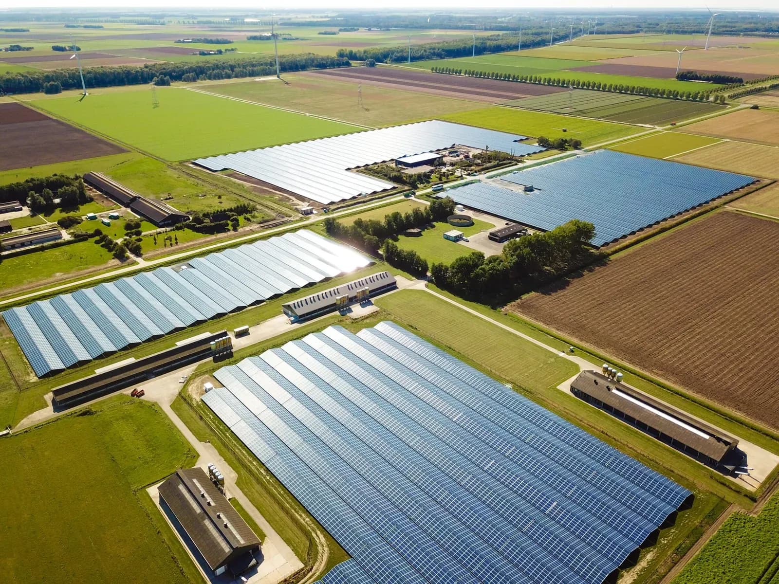 Le file di moduli di Lelystad viste dall'alto