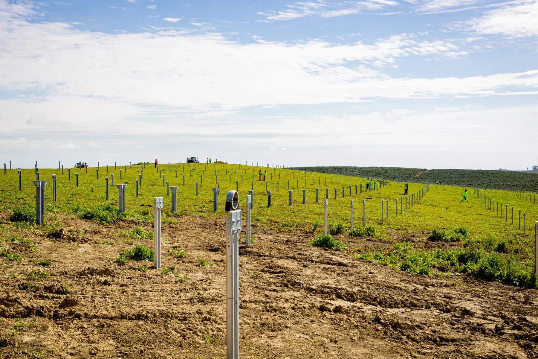 Il campo di Salteras dopo la battitura, con le squadre lungo la collina
